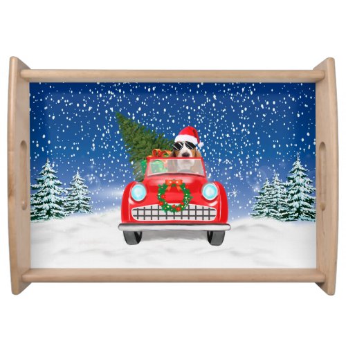 Basset Hound Dog Driving Car In Snow Christmas  Serving Tray