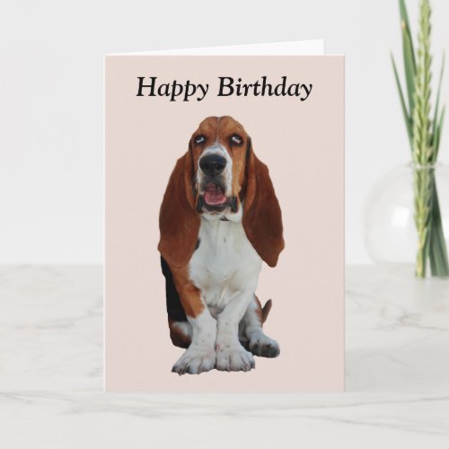 Basset Hound dog photo Card