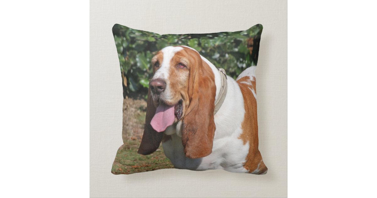 basset hound pillow pottery barn