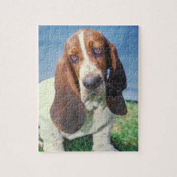 Basset Hound Dog Puzzle by walkandbark at Zazzle