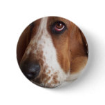 Basset Hound Dog Round Pin