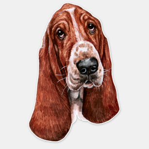 Basset Hound Dog Sad Eyes Sticker