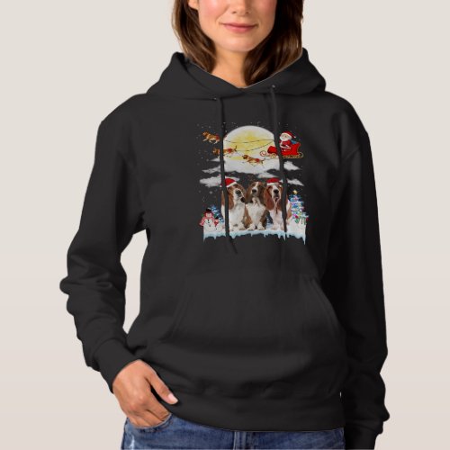 Basset Hound Dog Santa Sleigh Christmas Lover Hoodie