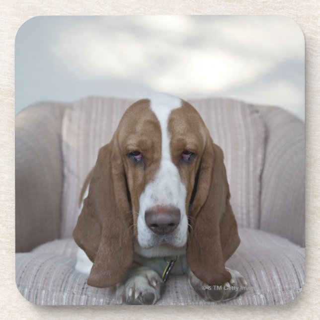 Basset Hound Drink Coaster (Front)