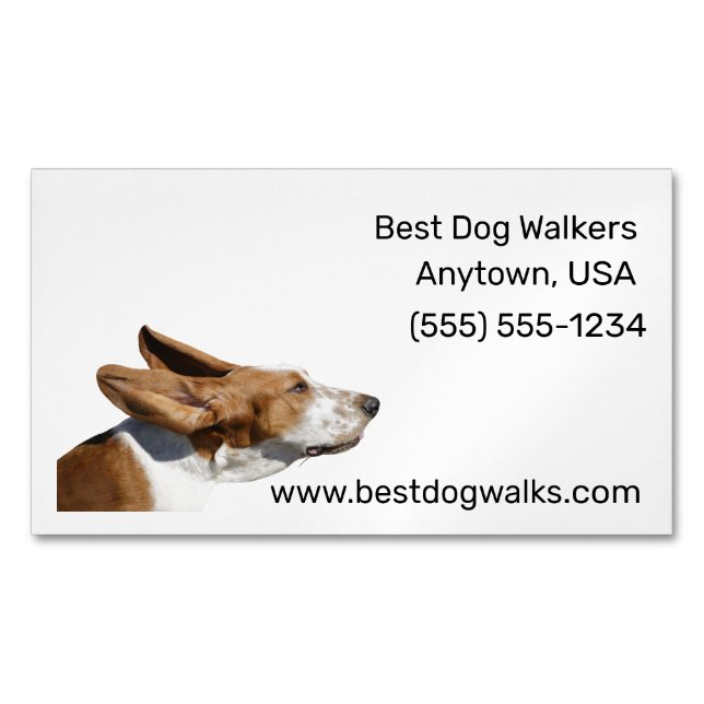 Basset Hound Ears Flapping in Wind Dog Walker Business Card Magnet (Front)