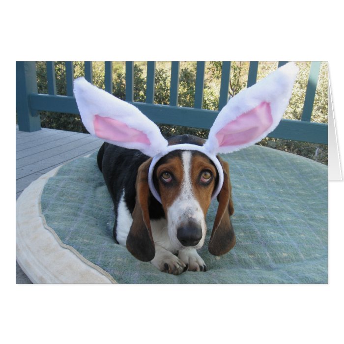 Basset Hound Easter Card