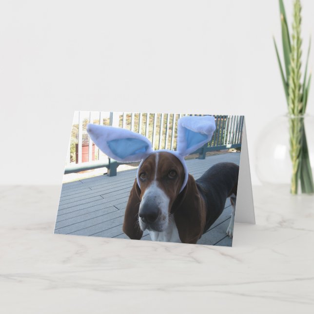 Basset Hound Easter Card (Front)