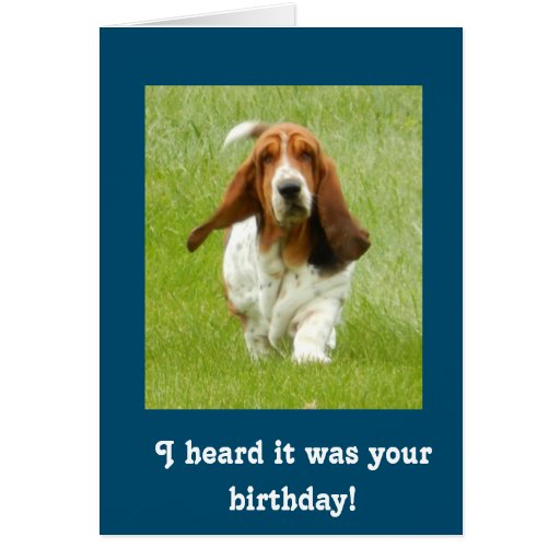 Basset Hound funny birthday card | Zazzle