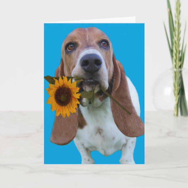 Basset Hound Get Well Card (Front)