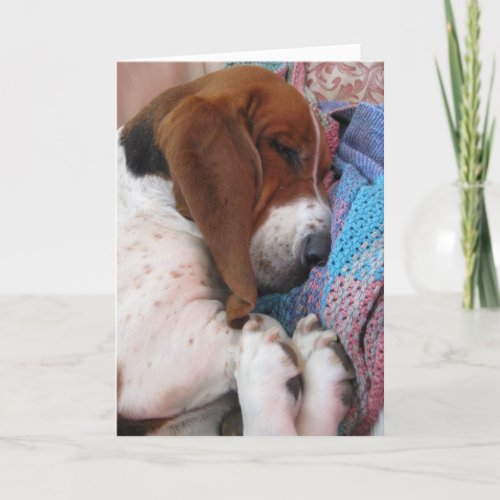 Basset Hound Get Well Soon Card