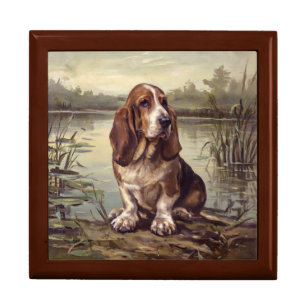 Basset Hound Gift Box
