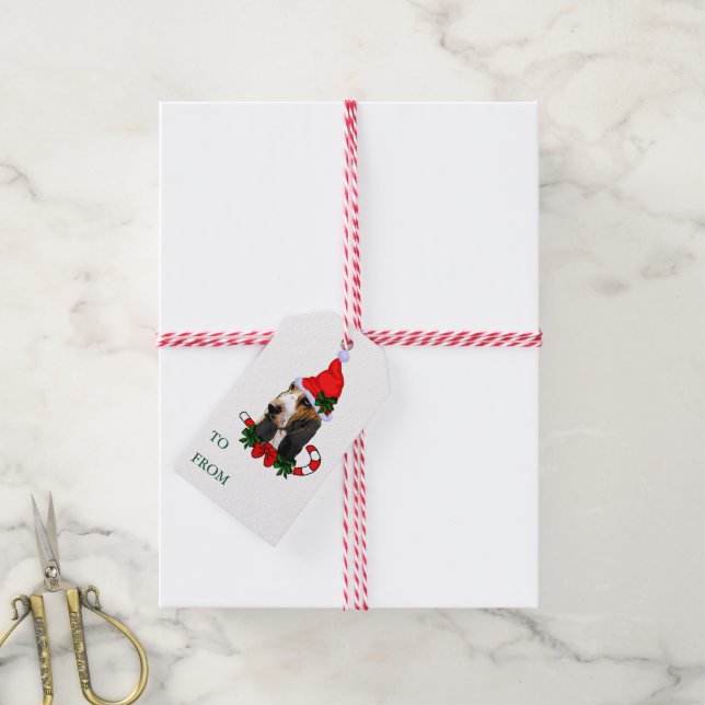 Basset Hound Gift Tags (With Twine)