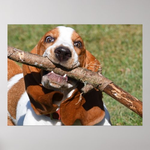 Basset Hound Happiness Is A Stick Poster