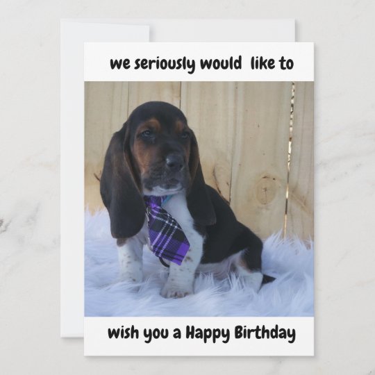 Basset hound happy Birthday card