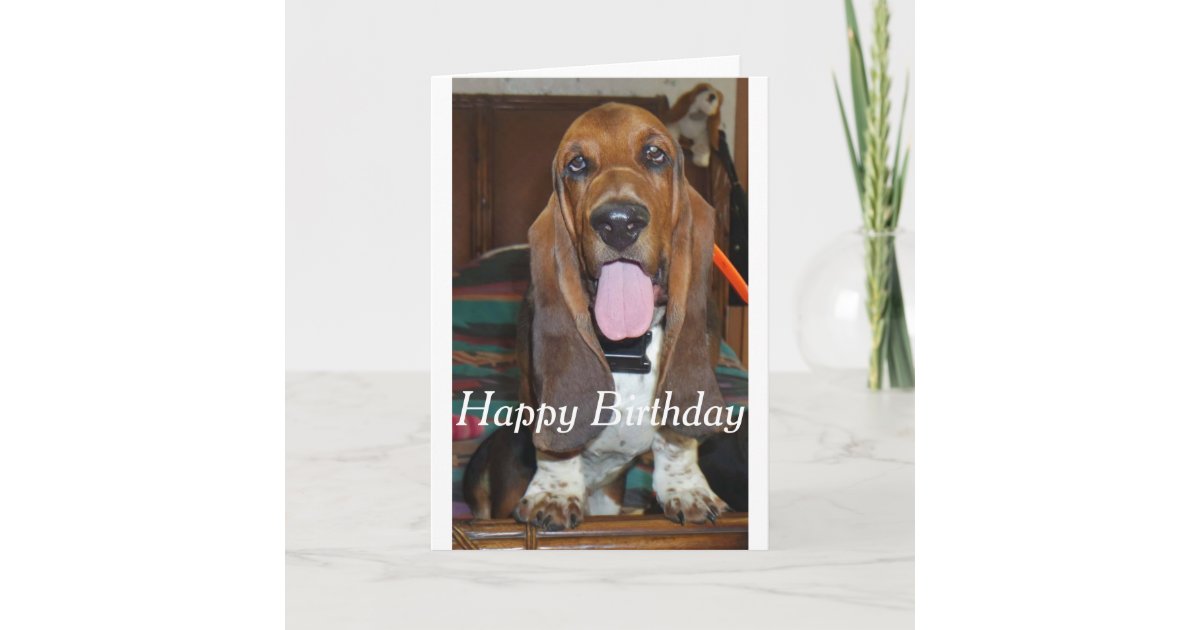 Basset hound Happy Birthday card Zazzle