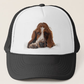 Basset Hound Hat