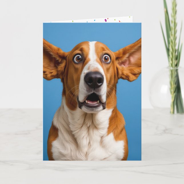 Basset Hound Humorous Birthday Card (Front)