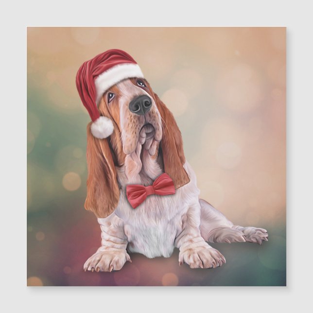 Basset Hound in red hat of Santa Claus (Front)