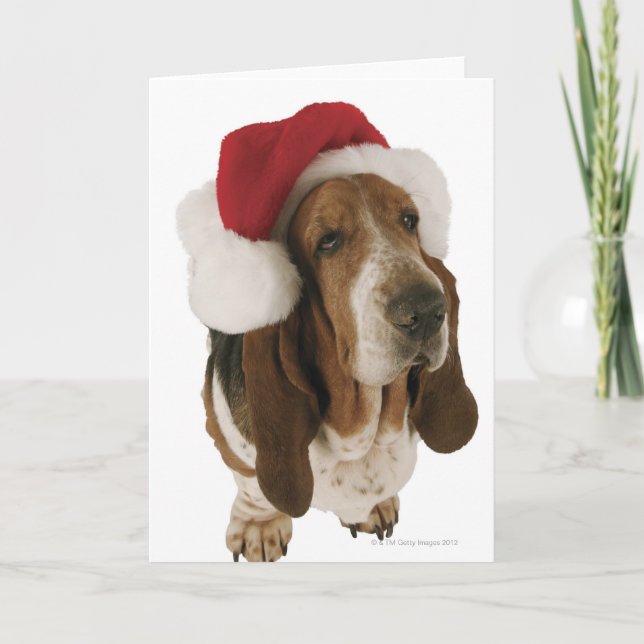 Basset Hound in Santa Hat Holiday Card (Front)