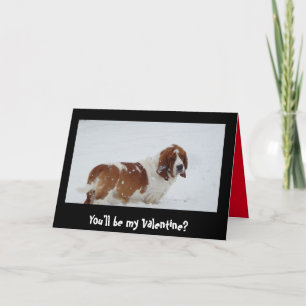 Basset hound in snow on Valentine's Day card