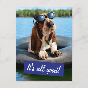 Basset Hound In Sunglasses Invitation Postcard