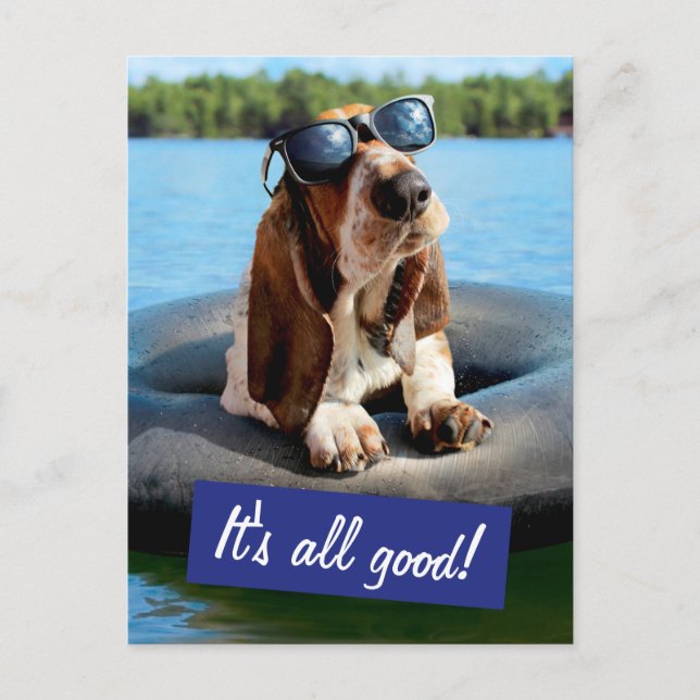 Basset Hound In Sunglasses Invitation Postcard (Front)