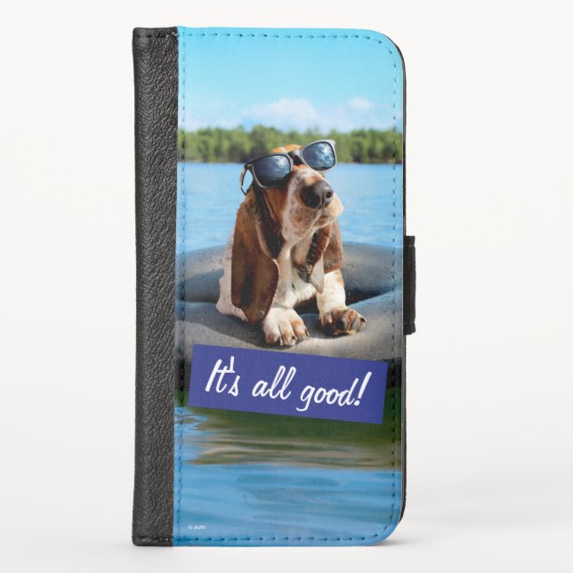 Basset Hound In Sunglasses iPhone Wallet Case (Front)