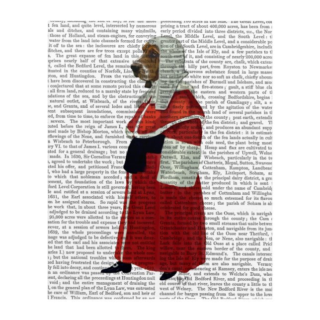 Basset Hound Judge Full Acrylic Print (Front)