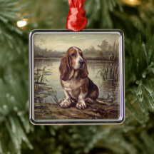 Basset Hound