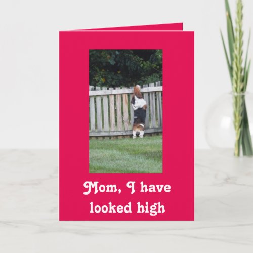 Basset Hound Mothers Day card