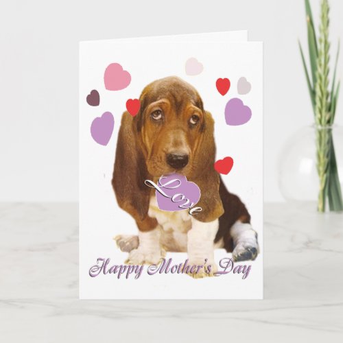 Basset  Hound Mothes Day Card