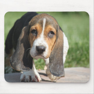 Basset Hound Mousepad