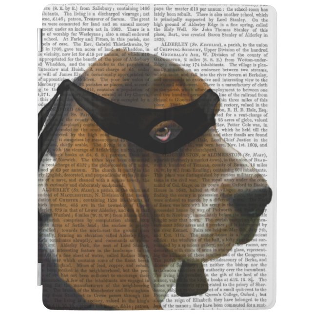 Basset Hound Ninja iPad Air Cover (Front)