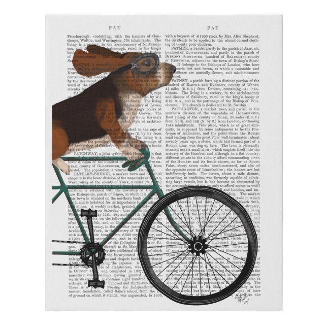 Basset Hound on Bicycle Faux Canvas Print (Front)