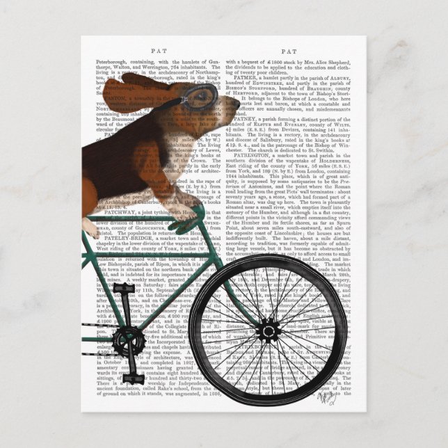 Basset Hound on Bicycle Postcard (Front)