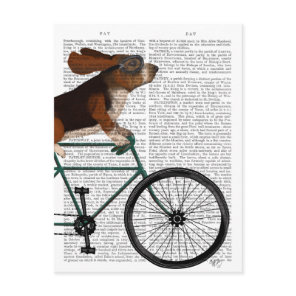 Basset Hound on Bicycle Postcard