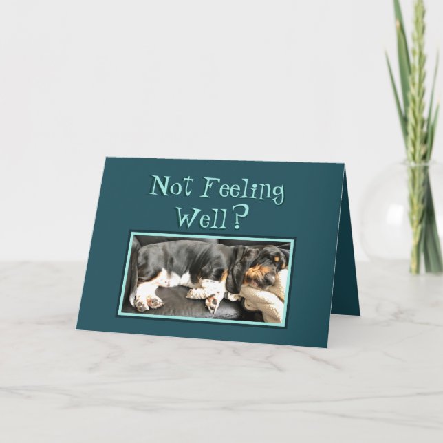 Basset Hound on Funny "Get Well" Card (Front)
