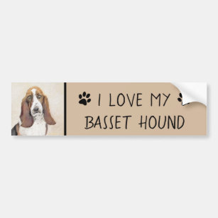 Basset Hound Painting - Cute Original Dog Art Bumper Sticker