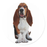 Basset Hound Picture Stickers