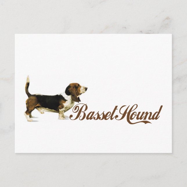 basset hound postcard (Front)