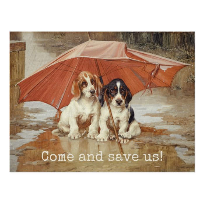 Basset hound puppies under umbrella CC0181 Trood Postcard