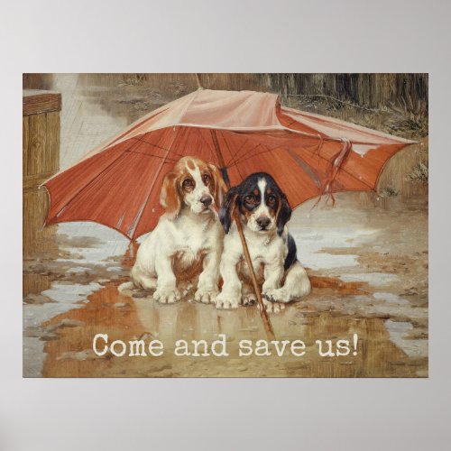 Basset hound puppies under umbrella CC0867 Trood Poster