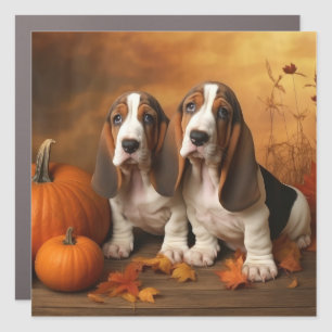 Basset Hound Puppy Autumn Delight Pumpkin Car Magnet