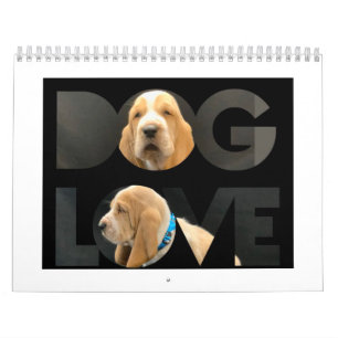 Basset hound puppy calendar