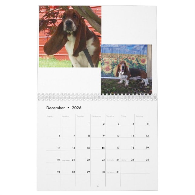 Basset hound puppy calendar (Dec 2026)