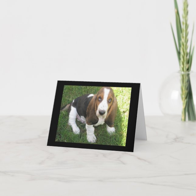 basset hound puppy dog blank note card (Front)