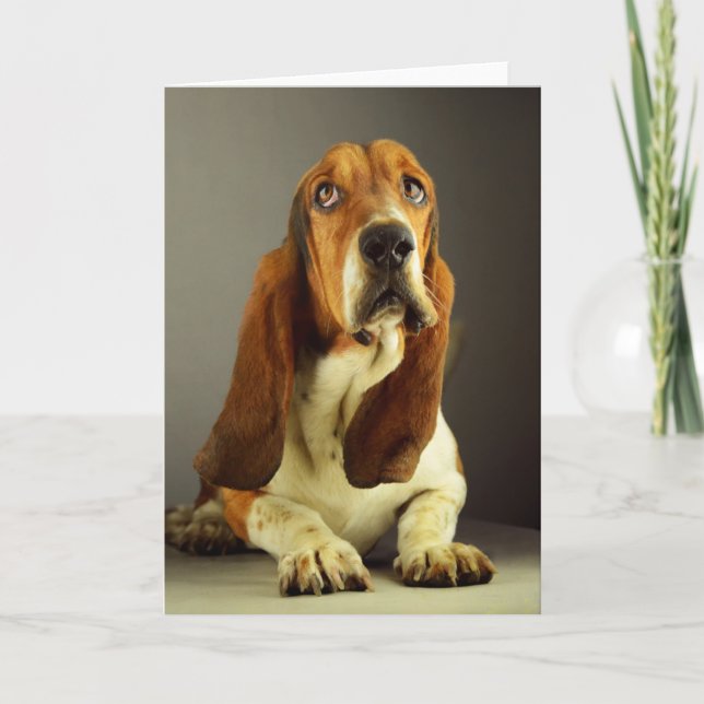Basset Hound Puppy Dog Blank Note Card (Front)
