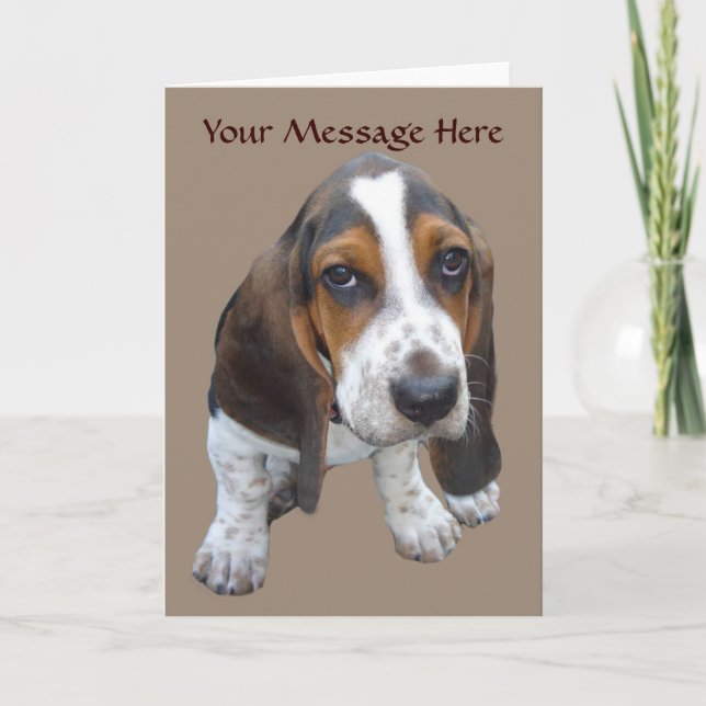 Basset Hound Puppy Greeting Card (Front)