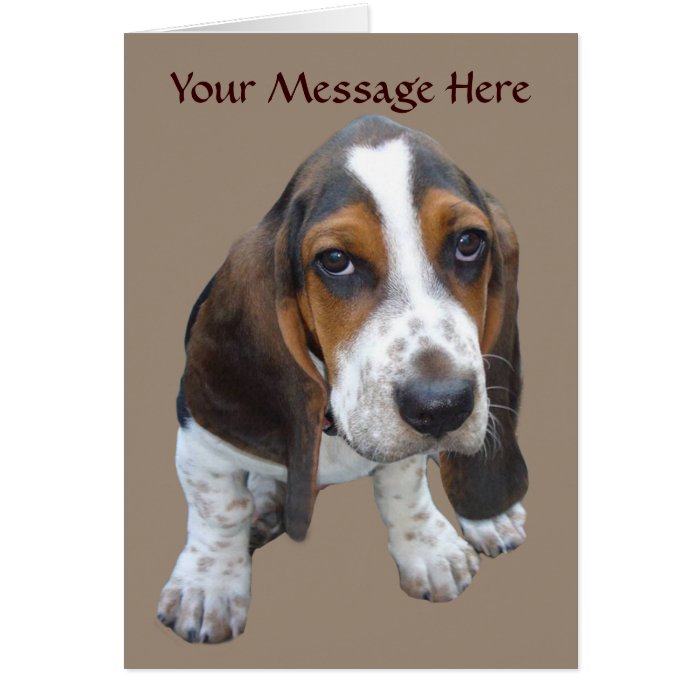 Basset Hound Puppy Greeting Card