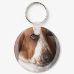Basset Hound Puppy Keychain